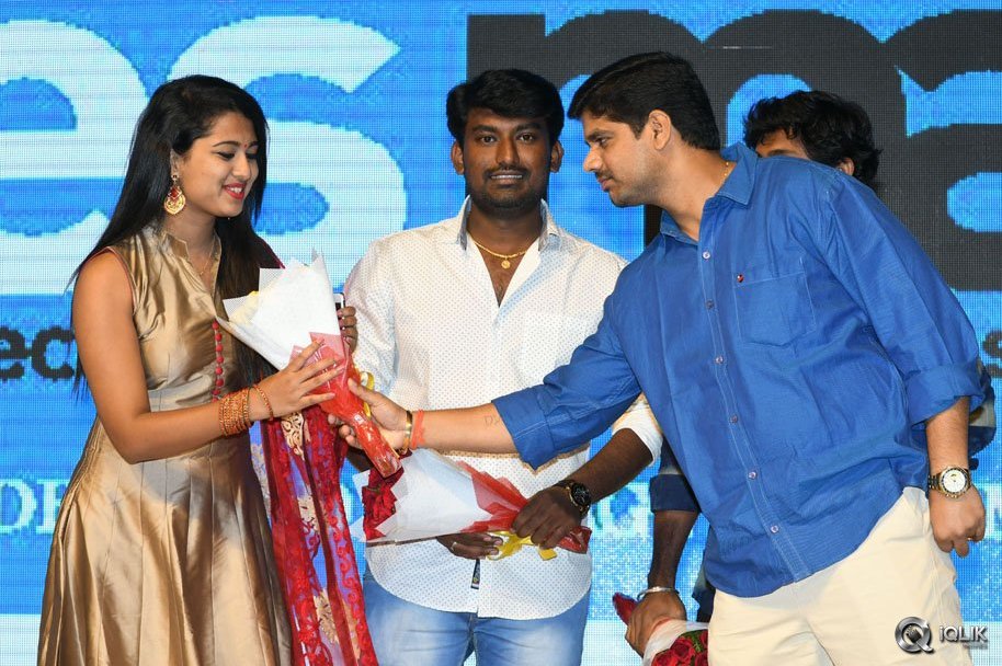 Enthavaraku-Ee-Prema-Movie-Audio-Launch